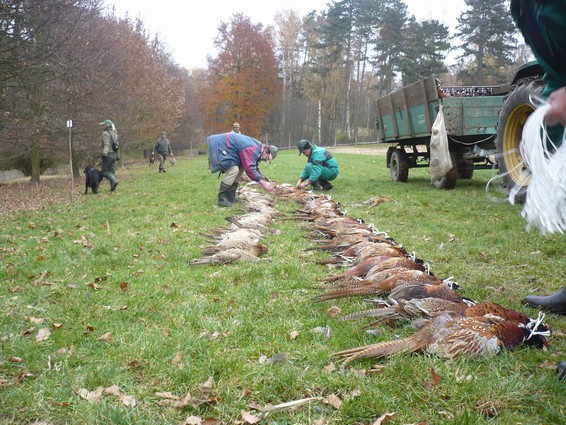 Konopiste_8.11.2009 (13).JPG